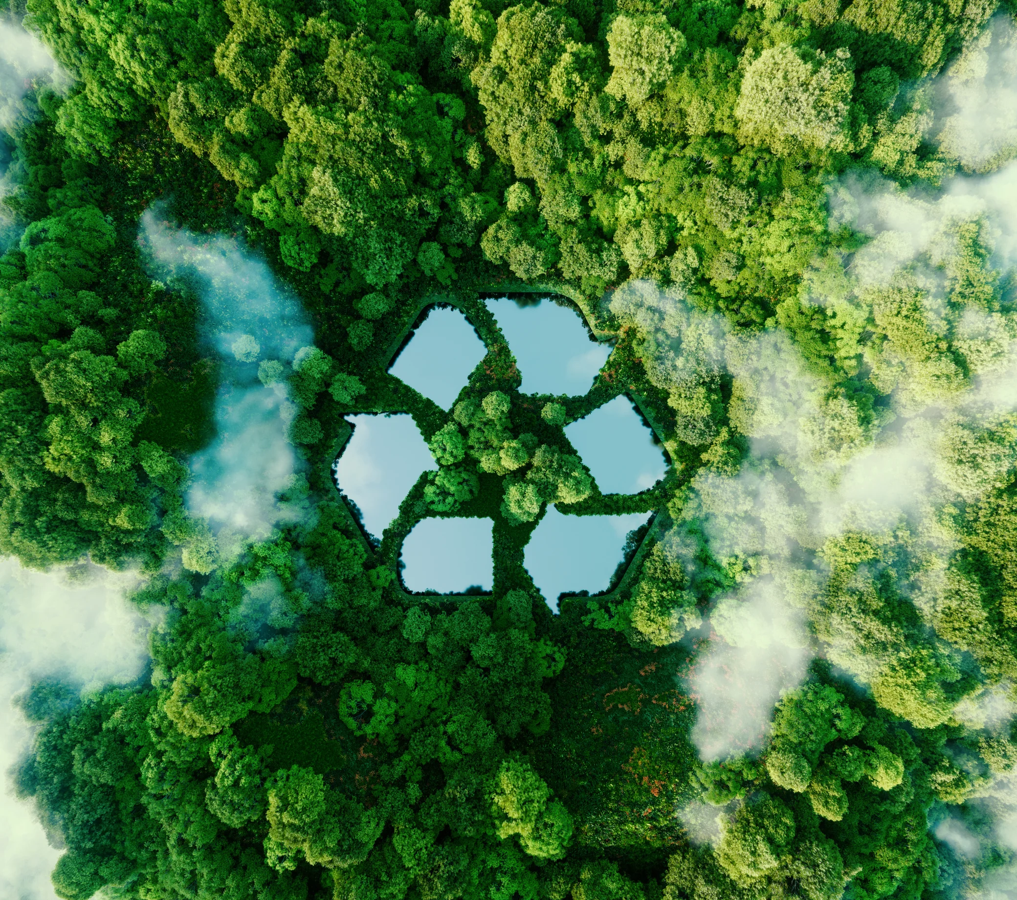 adobestock_458906503.jpeg
